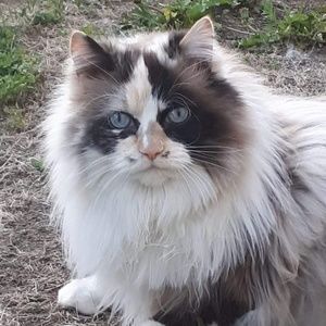 Meet your Posher, Sherry